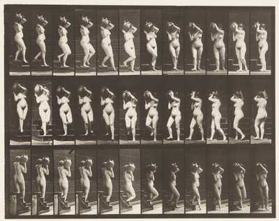 Prancha 147. Escadas Descendentes; Tornando Jarra de Água no Ombro Direito, 1872-1885 de Eadweard Muybridge