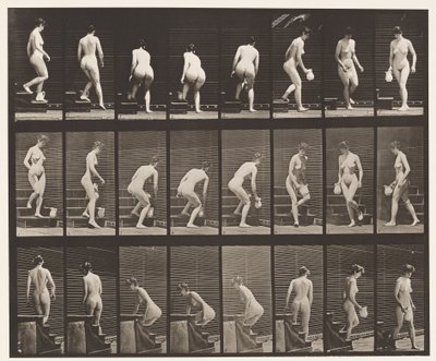 Placa 150. Escadas Descendentes; Inclinando-se, levantando o jarro, girando, 1872-1885 de Eadweard Muybridge