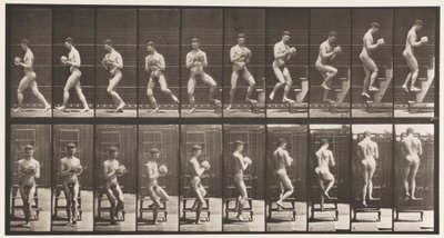 Placa 151. Degraus Descendo, Virando, Rock in Hands, 1872-1885 de Eadweard Muybridge