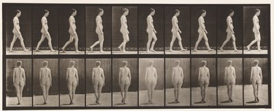 Placa 15. Caminhando de Eadweard Muybridge