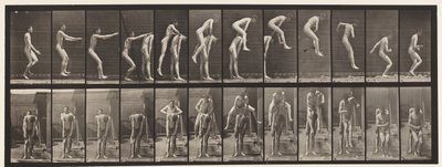 Placa 166.Jumping; Over Man "s Voltar de Eadweard Muybridge