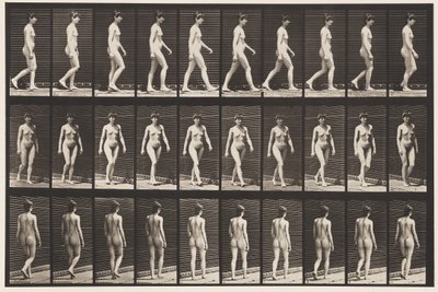 Placa 16. Caminhada, 1872-1885 de Eadweard Muybridge