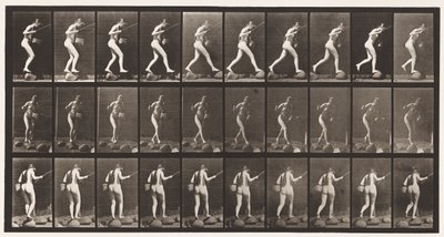 Placa 176. Travessia do riacho em degraus com vara de pesca e cesta de Eadweard Muybridge