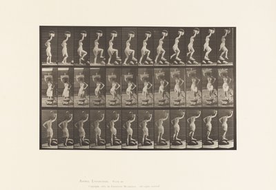 Placa 179. Pisando em uma pedra e sobre ela, uma cesta na cabeça de Eadweard Muybridge