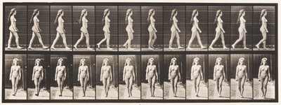 Placa 17. Caminhada, 1872-1885 de Eadweard Muybridge