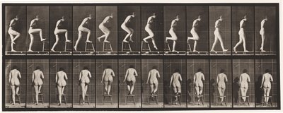 Placa 180. Subindo e descendo de uma cadeira de Eadweard Muybridge