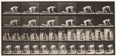 Placa 182. Rastejando sobre as mãos e os joelhos de Eadweard Muybridge