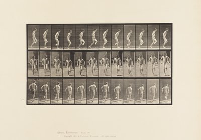 Placa 186.Comprando no Pé Direito, 1885 de Eadweard Muybridge