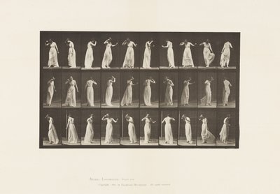 Placa 194.Dancing, 1885 de Eadweard Muybridge