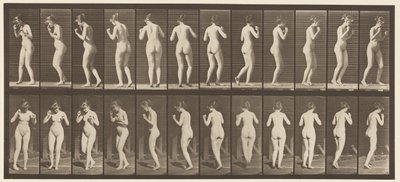 Prato 195. Valsa Dançante de Eadweard Muybridge