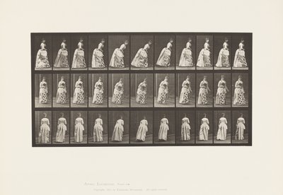 Placa 198. Corte, 1885 de Eadweard Muybridge
