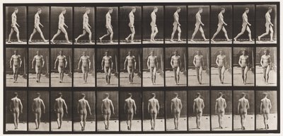 Placa 1. Caminhando de Eadweard Muybridge