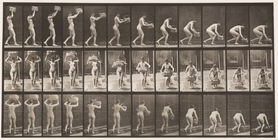 Placa 201. Pegando uma Cesta de 12 libras da Cabeça, Colocando-a no Chão, 1872-1885 de Eadweard Muybridge