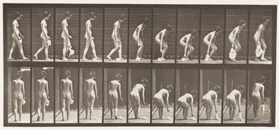Placa 202. Deixando cair e levantando um lenço de pescoço de Eadweard Muybridge