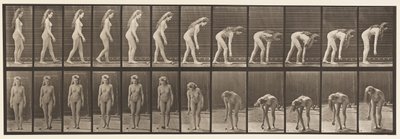 Placa 204. Parando para Pegar a Bola de Eadweard Muybridge