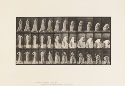 Placa 205.Carrying and Stooping with Vase, 1885 de Eadweard Muybridge