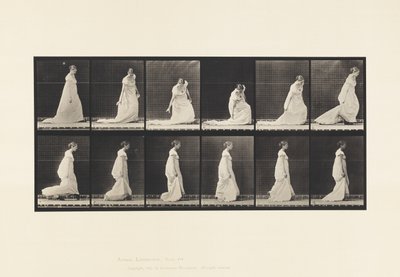 Placa 207. tremendo e levantando o trem, 1885 de Eadweard Muybridge