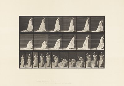 Placa 209. Tooping e levantando uma mão-lenço, 1885 de Eadweard Muybridge