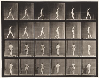 Placa 20. Caminhando, cotovelo direito dobrado de Eadweard Muybridge