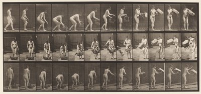 Placa 213. Cesto de levantamento e esvaziamento de Eadweard Muybridge