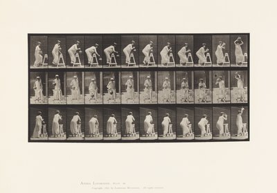 Placa 216. Dobrar para encher o recipiente de água; Colocar o recipiente na cabeça de Eadweard Muybridge
