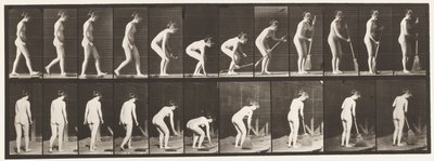 Placa 219. Inclinando-se e levantando vassoura e varrendo de Eadweard Muybridge