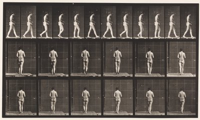 Prato 21. Andando, Ambos os Cotovelos Dobrados de Eadweard Muybridge