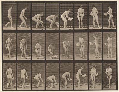Chapa 223. Curva e Elevação da Bacia, Limpeza e Virada, 1872-1885 de Eadweard Muybridge