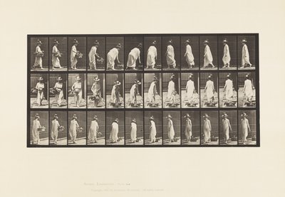 Prato 229. Colocação do cesto no chão e viragem de Eadweard Muybridge