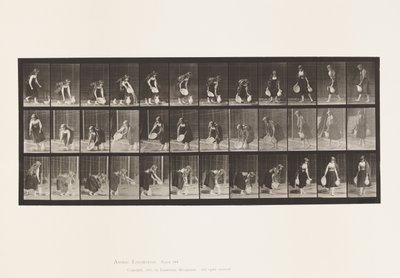 Prato 234. Elevação e Esvaziamento da Bacia de Água e Torneamento de Eadweard Muybridge