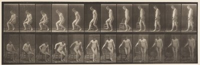 Placa 236. Colocando Diair e Sentar-se, 1885 de Eadweard Muybridge