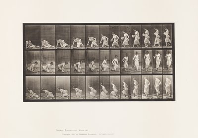 Prato 248. Sentado no chão de Eadweard Muybridge