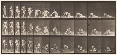 Ilustração 256. Deitado no chão e lendo, 1872-1885 de Eadweard Muybridge