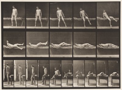 Placa 259. Deitada em um sofá e virada de lado, 1885 de Eadweard Muybridge