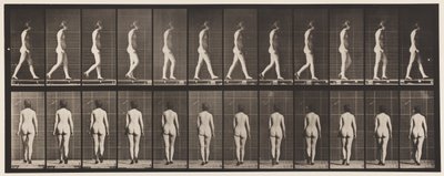 Placa 25. Caminhando, com sapatos de salto alto de Eadweard Muybridge