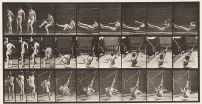 Placa 261. Entrando na Rede, 1872-1885 de Eadweard Muybridge