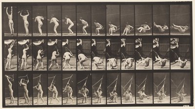 Prato 262. Saindo de Hammock de Eadweard Muybridge