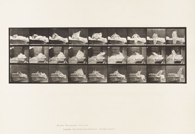 Placa 265. Saída da cama e preparação para ajoelhar de Eadweard Muybridge