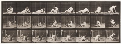 Placa 266. Virando e mudando de posição enquanto ainda está no solo de Eadweard Muybridge