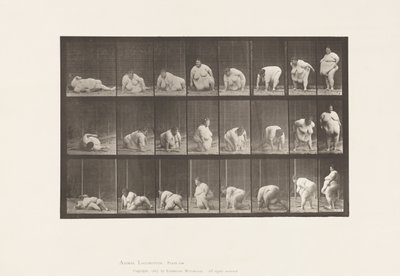 Placa 268.Arising from the Ground, 1885 de Eadweard Muybridge