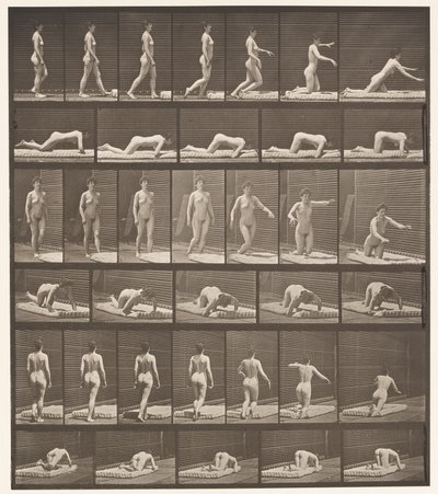 Placa 272. Tropeçando e caindo no chão de Eadweard Muybridge