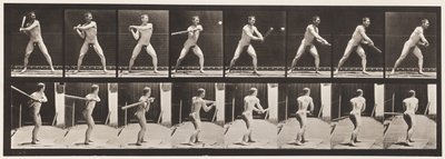 Placa 279. Bola-bola; Bateu, 1885 de Eadweard Muybridge