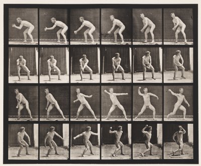 Placa 283. Bola-bola; Captura e lançamento, 1885 de Eadweard Muybridge