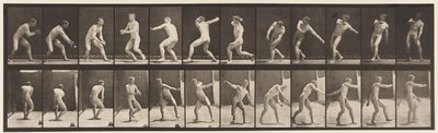 Placa 284. Bola-bola; Captura e lançamento, 1885 de Eadweard Muybridge