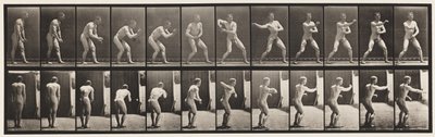 Placa 285. Base-ball; Pegando e jogando de Eadweard Muybridge