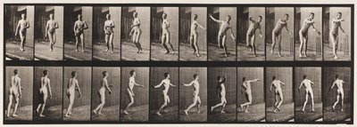 Placa 289.Cricket; Boliche De Braço Redondo, 1885 de Eadweard Muybridge
