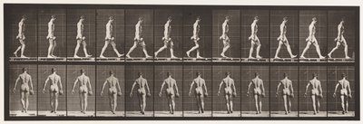 Placa 28. Andando, carregando 50 lb Dumb-Bell na mão direita, 1872-1885 de Eadweard Muybridge