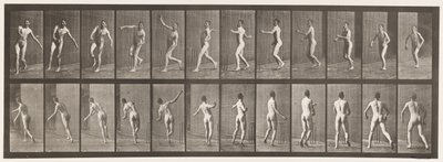 Placa 290.Cricket; Over Arm Bowling, 1885 de Eadweard Muybridge