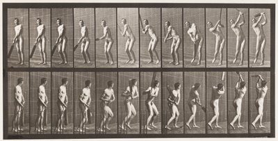 Placa 291.Cricket; Rebatidas; Drive, 1885 de Eadweard Muybridge