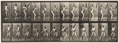 Placa 293.Cricket; Rebatidas; Corte de costas, 1885 de Eadweard Muybridge